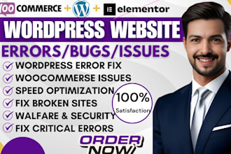 build wordpress website,bug,fix,issues for business owner