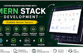 build a professional mern website and saas applications