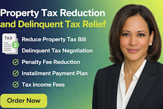 file updated property tax reduction and delinquent tax relief