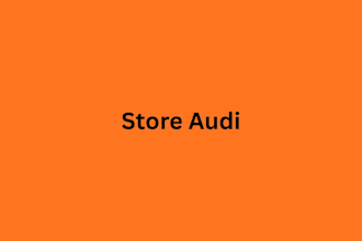 do shopify audit for your store