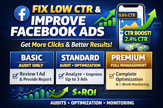 optimize your facebook ads to increase sales and roas
