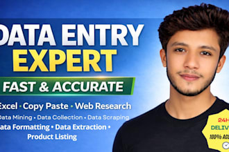 professional data entry and excel expert