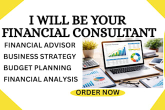 be your financial consultant advisor and strategic planner