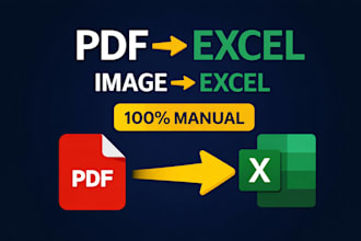convert PDF or image to excel manually with high accuracy
