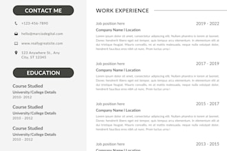 create a professional CV and resume
