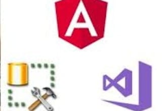 develop asp net core web API or angular application