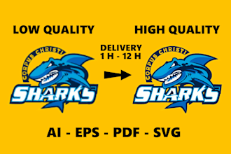 redraw, modify logo and deliver vector file