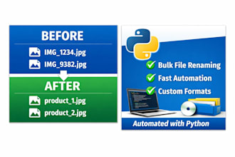 rename and organize your files using a custom python script