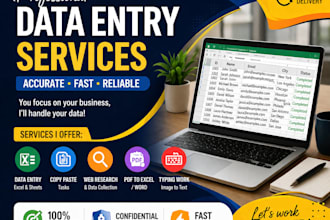 do accurate data entry and excel work