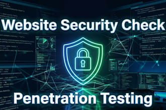website security testing and penetration testing professionally