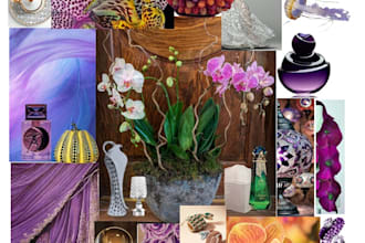 create a professional mood board, inspiration board