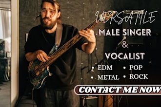 custom male pop singer edm singer pop male singer edm pop vocals pop vocalist
