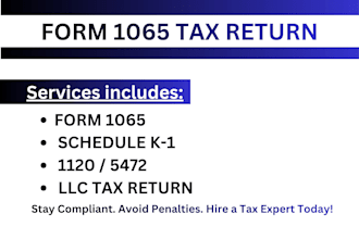 prepare form 1065 US tax return, partnership and business tax filing