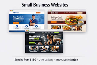 build a professional small business website in 24 hours