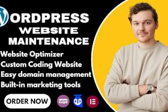 provide monthly wordpress website maintenance