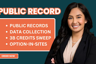 do a deep public record search and background check in 24 hours
