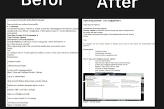 do professionl ms word document formatting and layout design