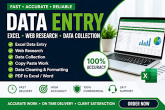 your virtual assistant for manual data entry, web research