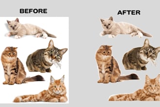 cute stickers with animals and pets