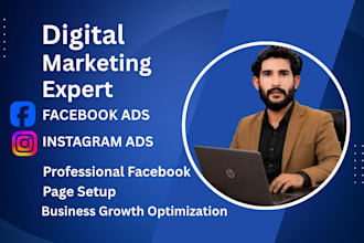 do professional facebook page setup and ads campaign