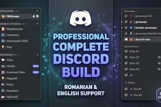 setup a professional discord server