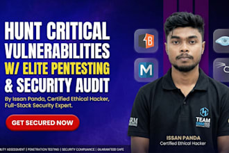 perform elite website pentesting and vulnerability audit