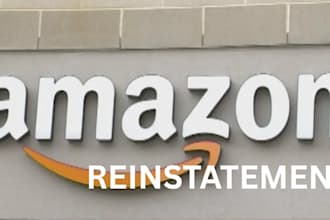 reinstate deactivated amazon flex, relay, dsp and walmart spark driver account