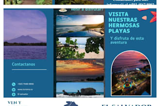 diseñare material gráfico profesional para tu negocio