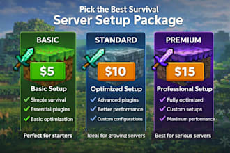 program for you an minecraft server with cheap prices