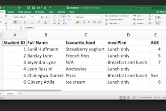 do custom low budget spreadsheet