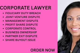 handle business disputes, contract violation, shareholder and partnership claims