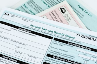 provide professional canadian personal income tax filing