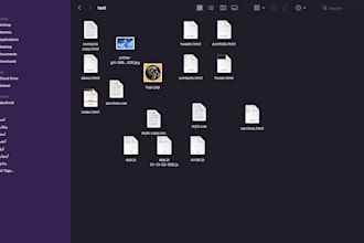 create a professional python folder organizer desktop app