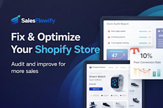 audit and optimize your store for high conversion and sales