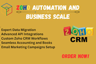 set up zoho CRM, zoho books, and zoho campaigns