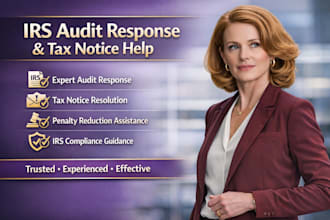 handle irs audit response and tax notice professionally