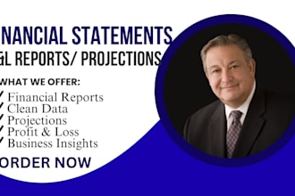 prepare financial statements, profit and loss and projections