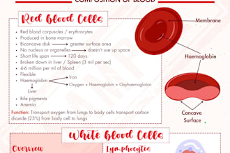 create custom nursing study guides nclex flashcards and visual high yield notes