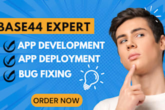 base44 expert base44 mvp base44 domain bug fixing stripe integration base44