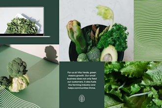design a modern branding kit with logo, brand identity and style guide