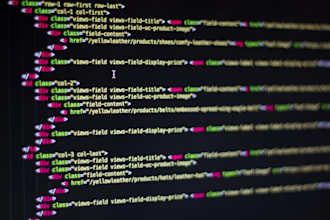 develop a website frontend or backend