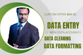 professional data entry, data mining and web research