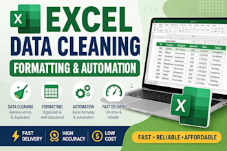 do excel data cleaning, formatting and automation