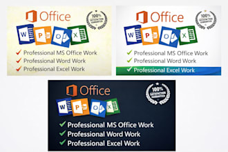 professional data entry and microsoft office expert