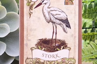 guidance through lenormand readings