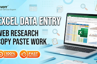 do accurate excel dataentry, web research and copypaste work