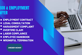 be your employment lawyer and provide legal advice