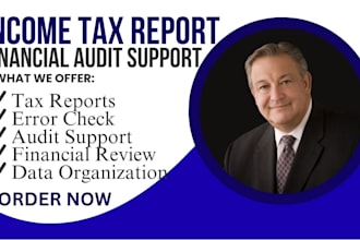 prepare income tax reports and assist with financial audit