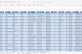 do accurate excel data entry for your businesss