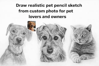 draw realistic pet pencil sketch from custom photo for pet lovers and owners